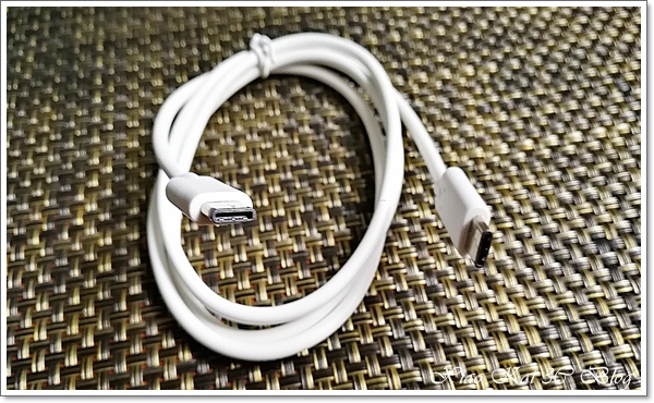 [分享] PowerFalcon 多孔旅行充電器與 USBelieve Type-C 傳輸線