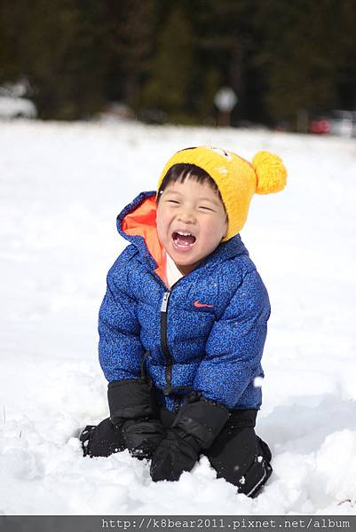 小威爾的冰雪奇緣