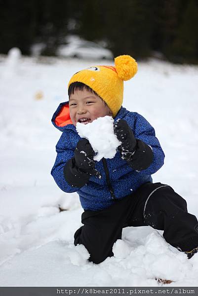 小威爾的冰雪奇緣