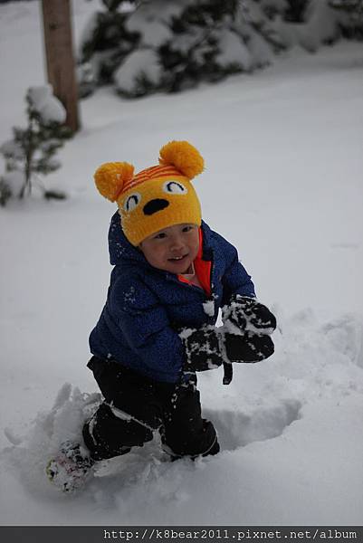 小威爾的冰雪奇緣