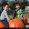 20141026 Bishop Pumpkin Patch 13.jpg