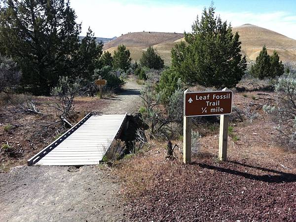 Leaf Hills Trail