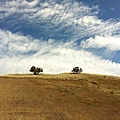 Painted Hills 