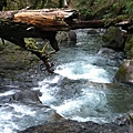 Multnomah Falls 2