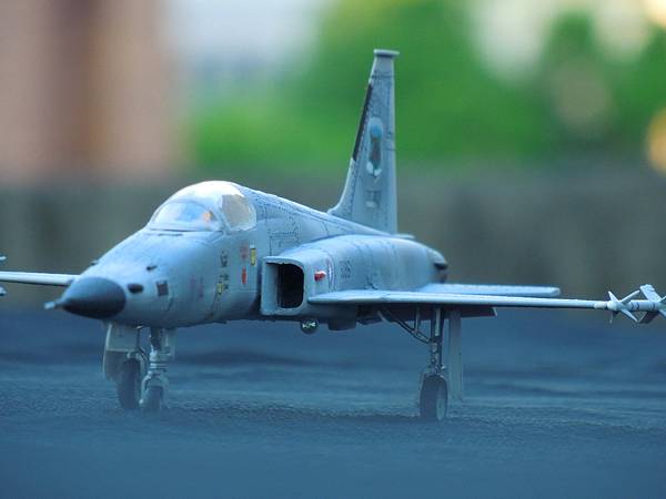 中華民國空軍F-5E中正號高性能戰機(HOBBY BOSS 