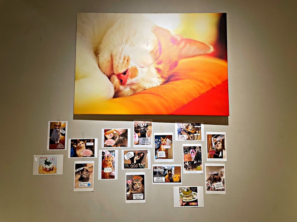 S__31834148.jpg S__31834148.jpg