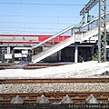 IMAG0138.jpg