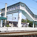 IMAG0140.jpg