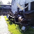IMAG0144.jpg