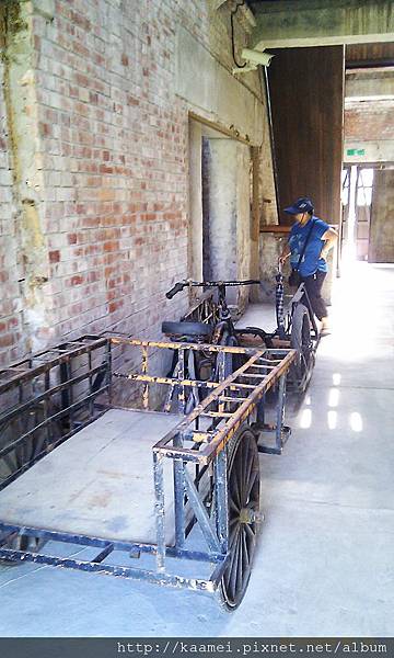 IMAG0147.jpg