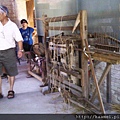 IMAG0148.jpg