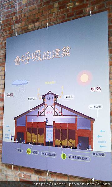 IMAG0164.jpg