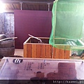 IMAG0166.jpg