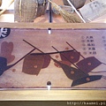 IMAG0170.jpg