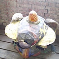 IMAG0184.jpg