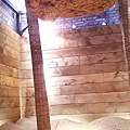 IMAG0189.jpg