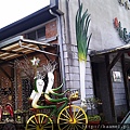 IMAG0103.jpg