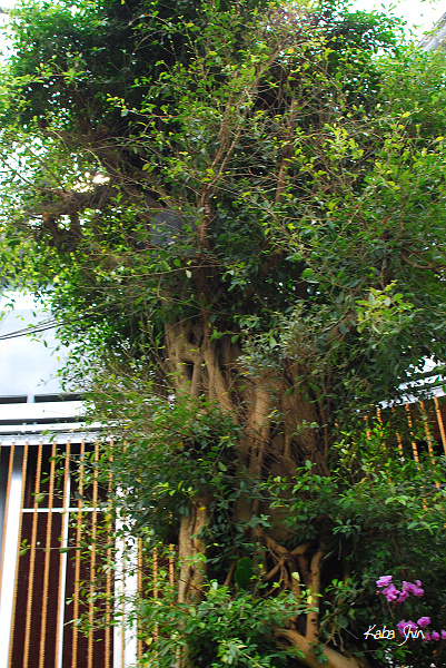 2011-02-19 10-16-48.jpg 2011-02-19 10-16-48.jpg