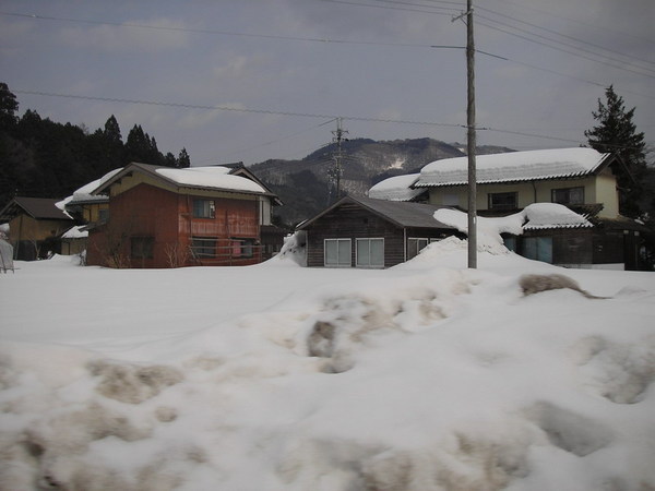 雪真的積滿高的