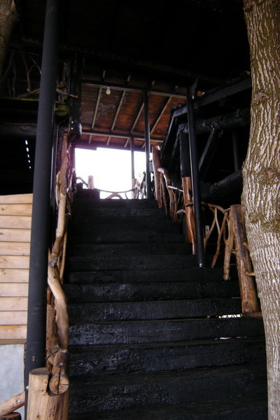 樹屋的樓梯