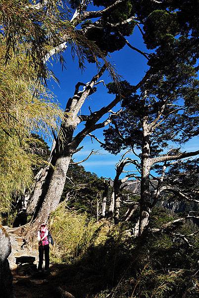 Yushan Day1_120_.jpg