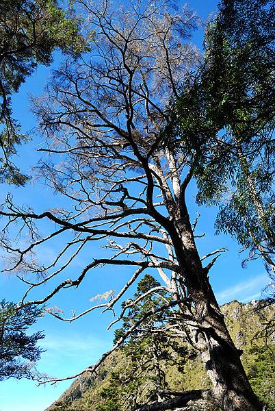 Yushan Day2_0164_.jpg