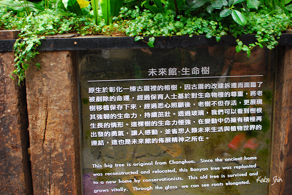 2011-02-19 10-16-26.jpg 2011-02-19 10-16-26.jpg