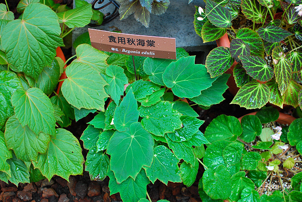 2011-02-19 10-55-06.jpg 2011-02-19 10-55-06.jpg