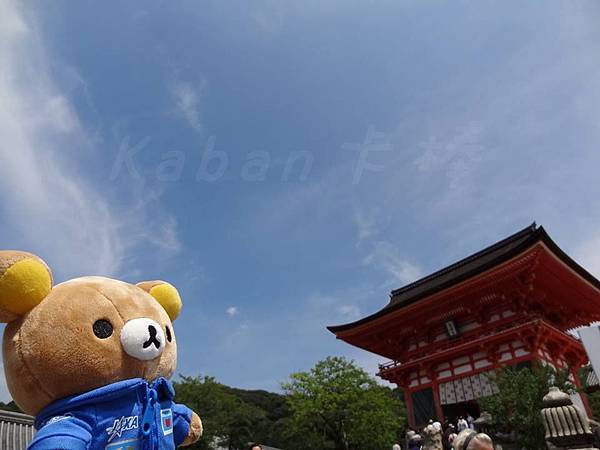 11951170_509838689184842_8912084277560864003_n