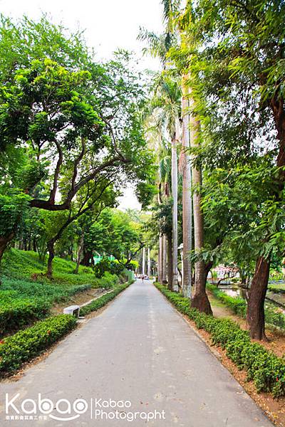 台南市中山公園_綠色步道.jpg