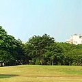 台南市水萍塭公園_草坪寬景-1.jpg