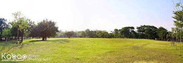 台南市水萍塭公園_草坪寬景-2.jpg