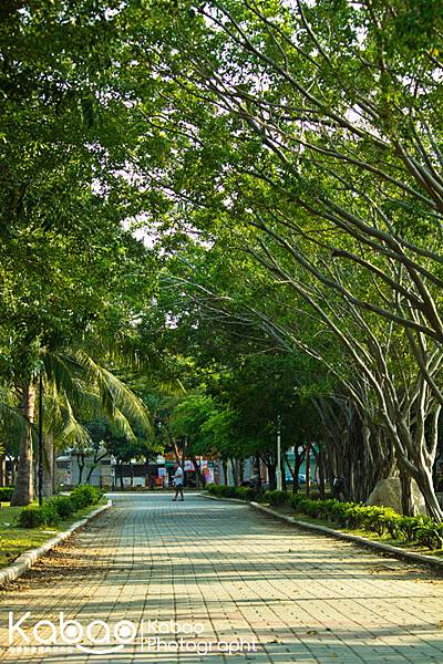 台南市水萍塭公園_綠色步道-2.jpg