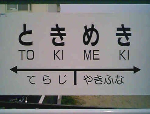 19.jpg 19.jpg