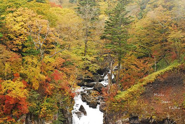 華厳の滝