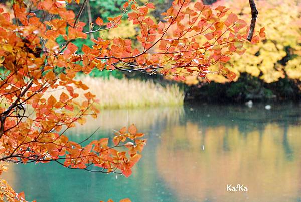 湯元溫泉1 湯元溫泉1