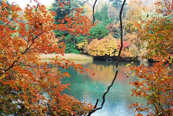 湯元溫泉2 湯元溫泉2