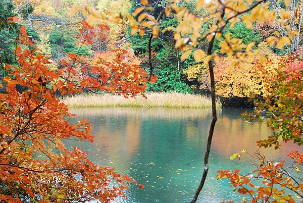 湯元溫泉3 湯元溫泉3