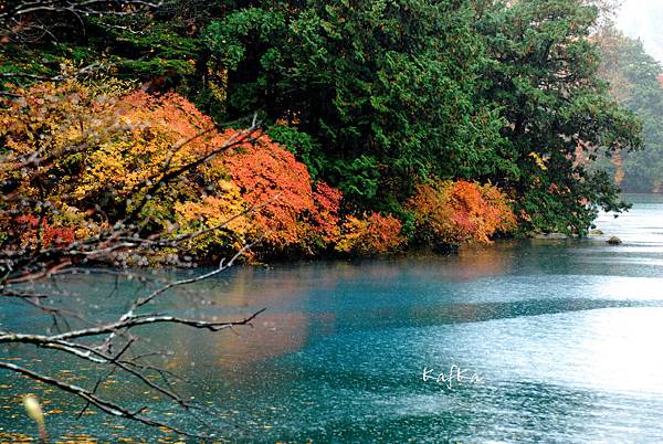 湯元溫泉5 湯元溫泉5