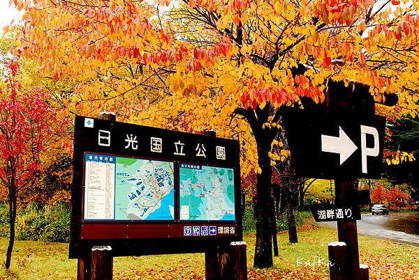 湯元溫泉6 湯元溫泉6