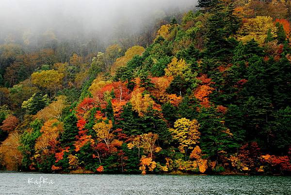 湯元溫泉8 湯元溫泉8