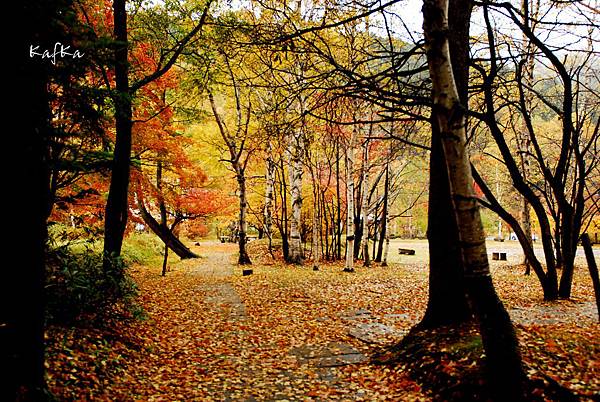 湯元溫泉10 湯元溫泉10