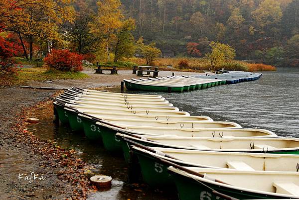 湯元溫泉12 湯元溫泉12