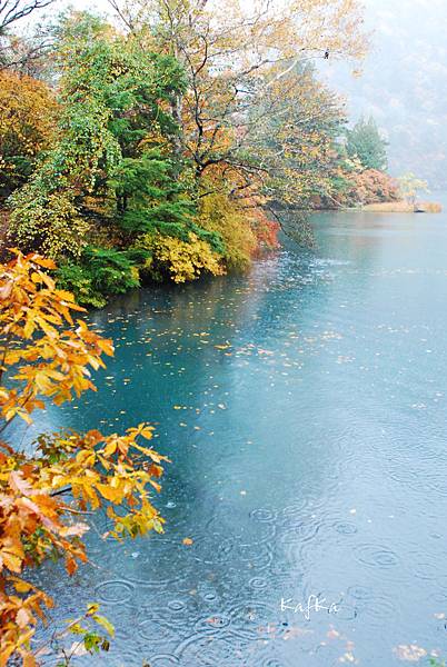 湯元溫泉13 湯元溫泉13