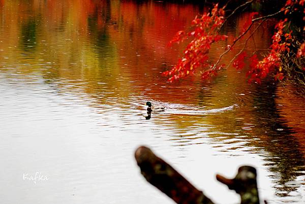 湯滝入口2 湯滝入口2