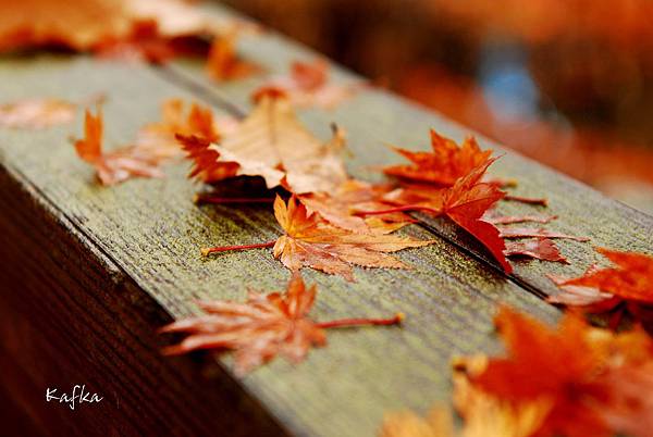 湯滝入口7 湯滝入口7