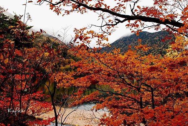 湯滝入口8 湯滝入口8