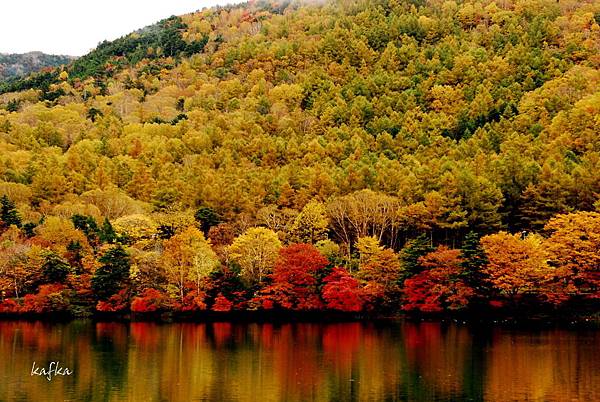 湯滝入口10 湯滝入口10