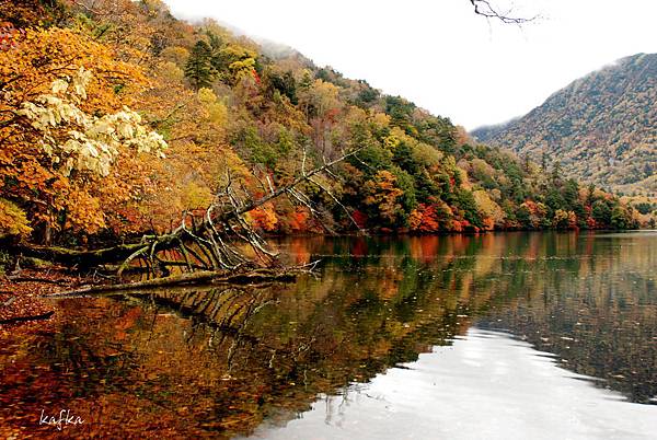 湯滝入口13 湯滝入口13
