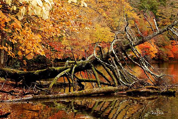 湯滝入口14 湯滝入口14